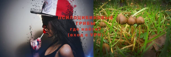 jwh Белокуриха