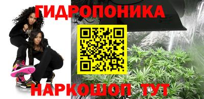 гашик Краснокаменск