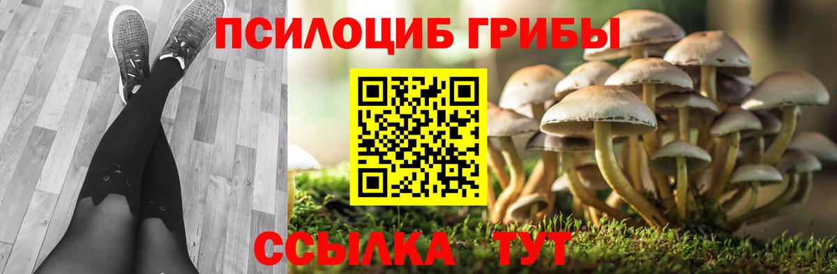 Валуйки  Псилоцибиновые грибы прущие грибы  Псилоцибиновые грибы GOLDEN TEACHER  Вход с VPN 